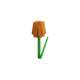 Orange Tulip